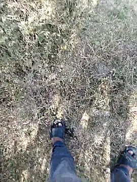 Snapshot of rameshmry1 chatting on 23, 2, 2026 rameshmry1 online show from 23, 2, 2026