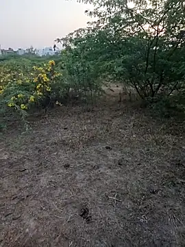 Snapshot of rameshmry1 chatting on 5, 3, 2026 rameshmry1 online show from 5, 3, 2026