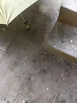 Snapshot of rameshmry1 chatting on 12, 12, 2024 rameshmry1 online show from 12, 12, 2024