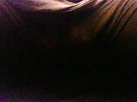 SDtinycok online show from 4, 3, 2026