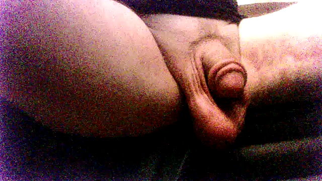 SDtinycok online show from 8, 9, 2025