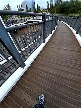 Ssk10N online show from 14, 10, 2025