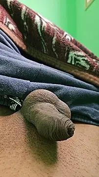 rockyp6 online show from 20, 3, 2026