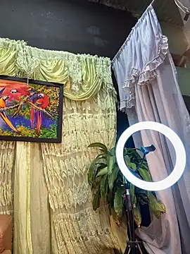 uma patna000 online show from 4, 2, 2025