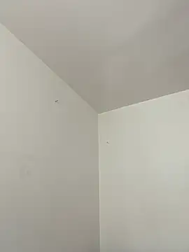 mochamimi online show from 20, 3, 2026