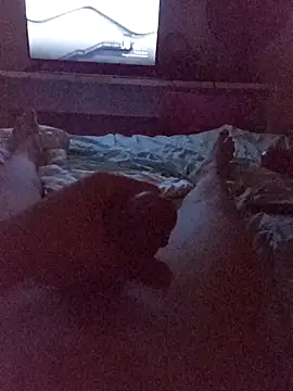 Kira-san online show from 24, 11, 2025