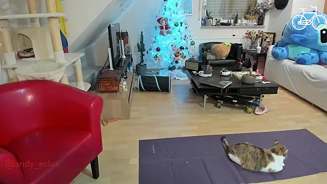 tinny williams online show from 3, 12, 2025