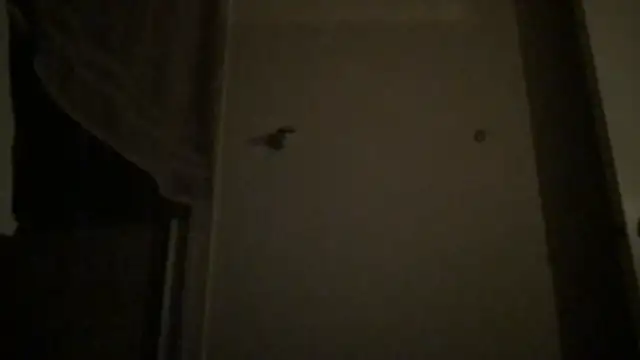 BigGuyMuscle online show from 4, 4, 2026