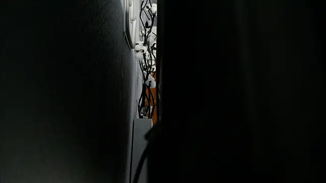 Snapshot of MrsTenderBeast chatting on 1, 3, 2025 MrsTenderBeast online show from 1, 3, 2025