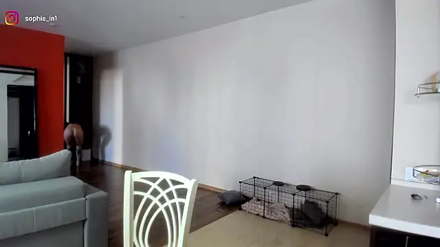  in yan online show from 16, 3, 2026