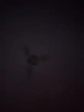 1Aleks13 online show from 25, 11, 2025