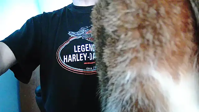 Niko slave online show from 19, 12, 2024