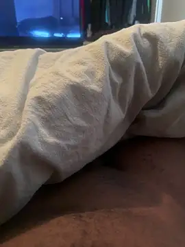 chocolatelongstrokes online show from 5, 3, 2026