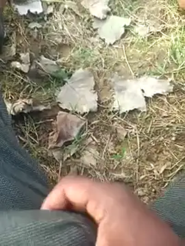 FinableKnee online show from 6, 10, 2025