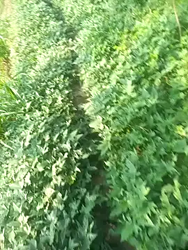 FinableKnee online show from 9, 10, 2025