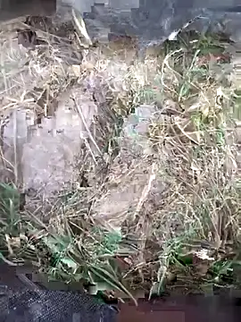 FinableKnee online show from 11, 10, 2025