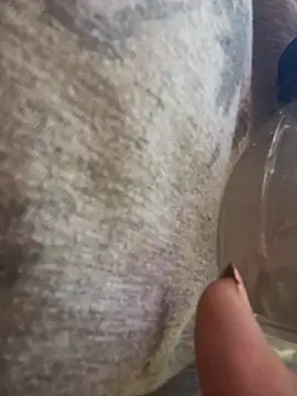 Alicbranca online show from 19, 3, 2026