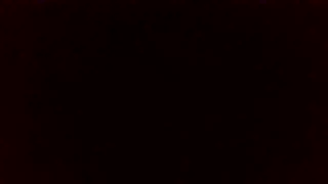 Star-Night online show from 6, 4, 2026