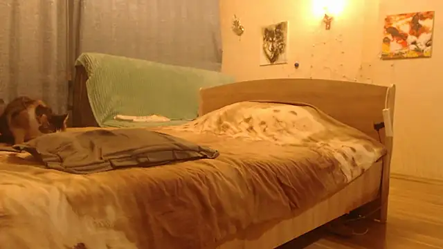 Janiffer MiMi online show from 11, 3, 2025