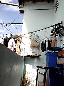 Monseratte21 online show from 11, 9, 2025