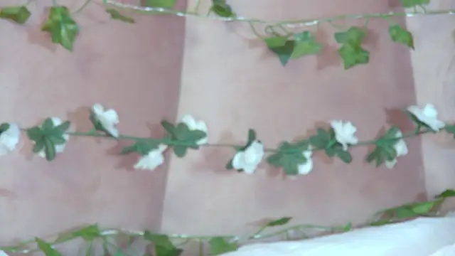 GentleRossi online show from 3, 4, 2026