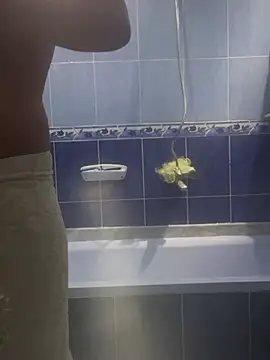 Arabien Pharaoh- online show from 20, 3, 2025