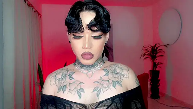 little star porn online show from 12, 1, 2026