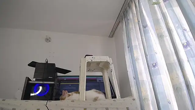 eolicasex online show from 13, 3, 2025