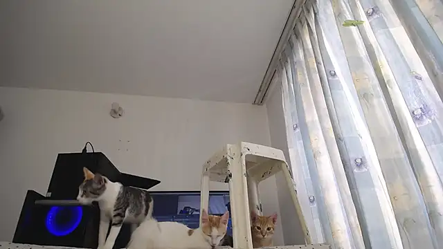 eolicasex online show from 7, 3, 2025