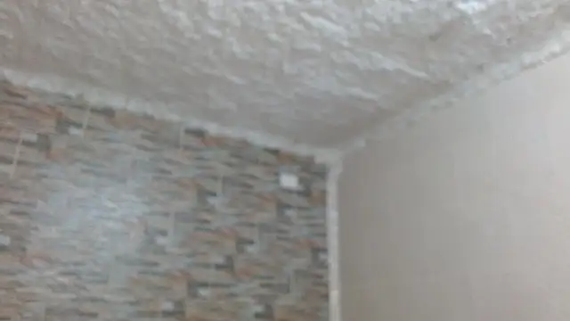 omar alurba online show from 4, 12, 2025