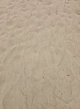 Trucker Hunter online show from 25, 9, 2025