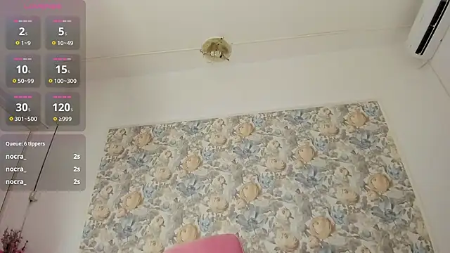 illegal lorry online show from 10, 1, 2026