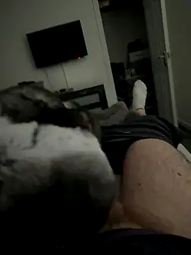 Furdale online show from 2, 10, 2025