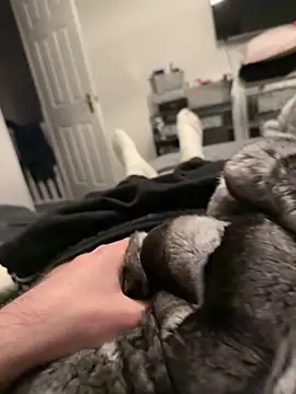 Furdale online show from 17, 12, 2025