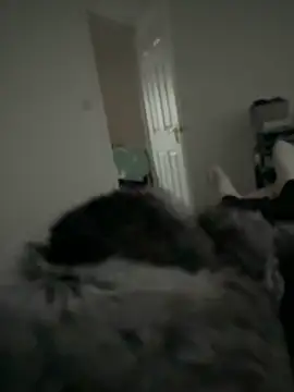 Furdale online show from 11, 2, 2026