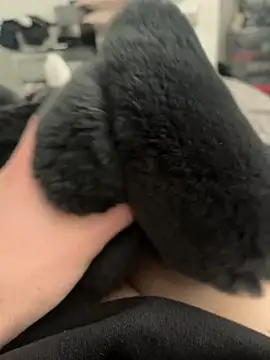 Furdale online show from 28, 2, 2025