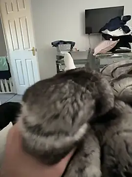 Furdale online show from 30, 11, 2025