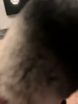 Furdale online show from 31, 1, 2025