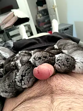 Furdale online show from 25, 9, 2025