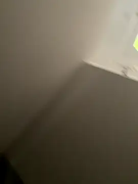 Furdale online show from 10, 9, 2025