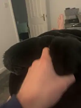 Furdale online show from 5, 3, 2025