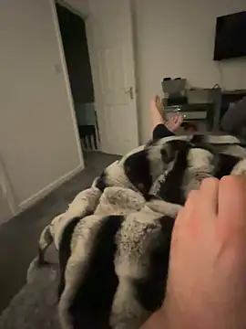 Furdale online show from 5, 2, 2025