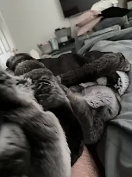 Furdale online show from 30, 10, 2025