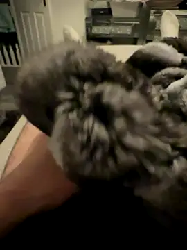 Furdale online show from 24, 11, 2025