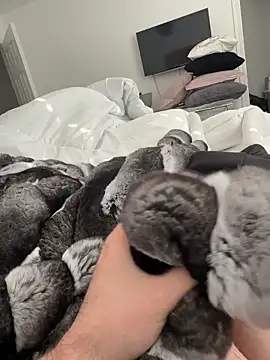 Furdale online show from 2, 11, 2025