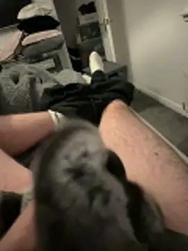 Furdale online show from 3, 11, 2025