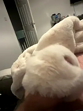 Furdale online show from 6, 11, 2025