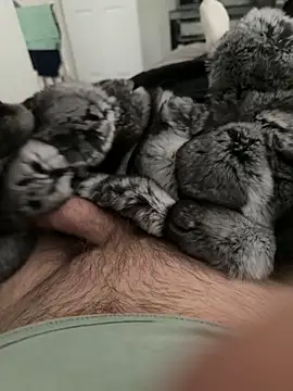 Furdale online show from 22, 9, 2025