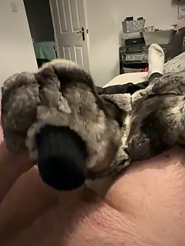 Furdale online show from 25, 11, 2025