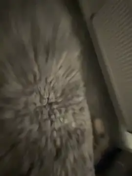 Furdale online show from 17, 1, 2025